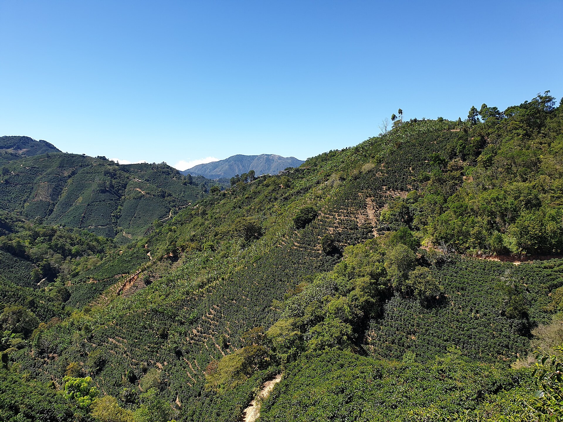 Coffee-country day trip in San José, Costa Rica