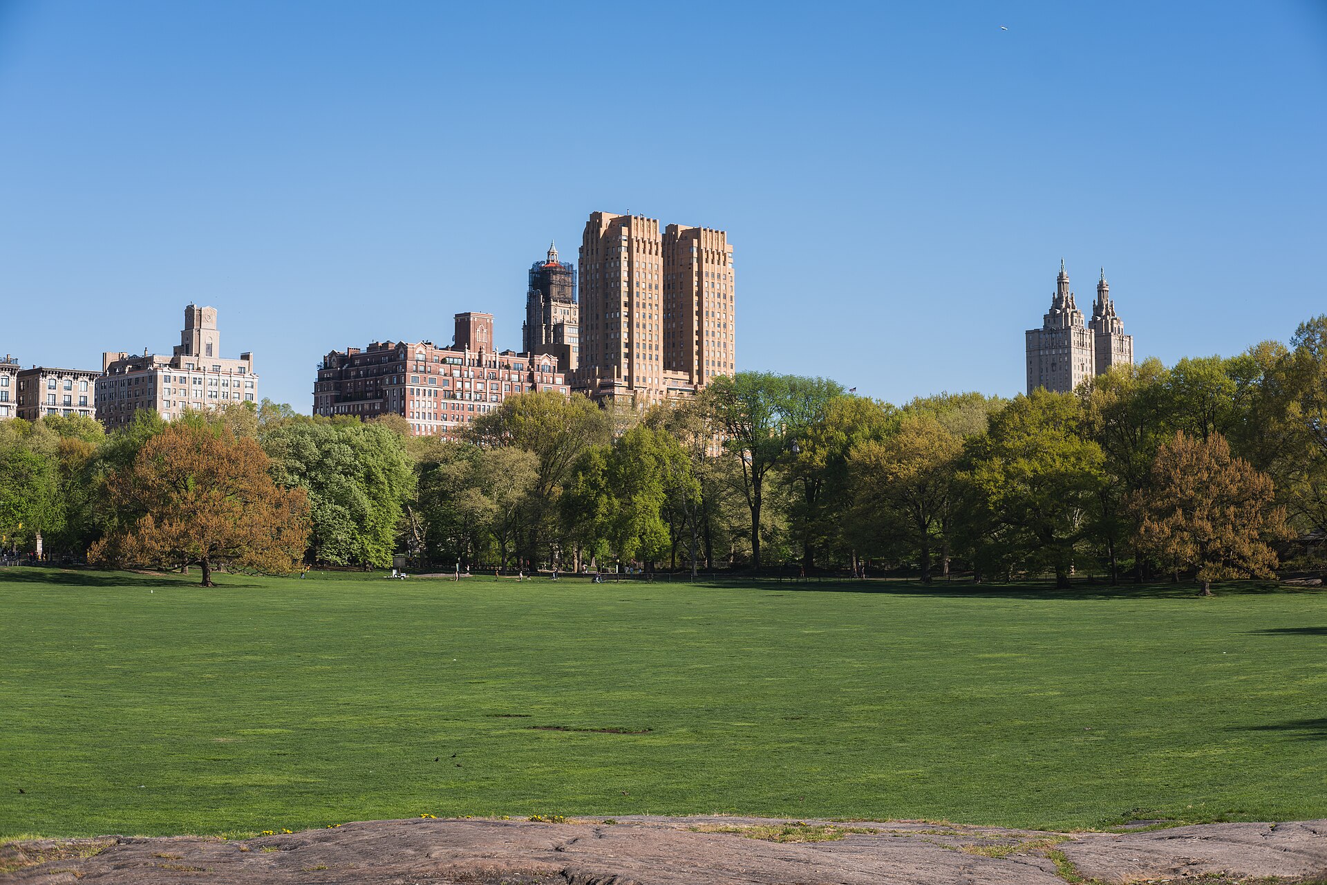 Central Park in New York City