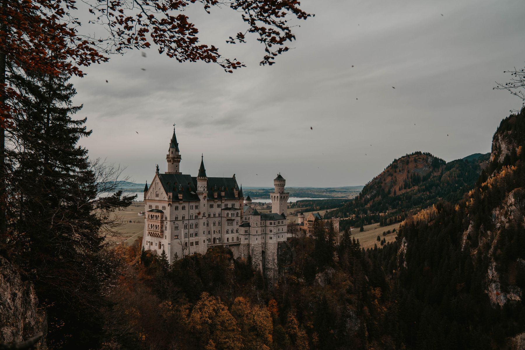 Alpine or castle day trip in Munich