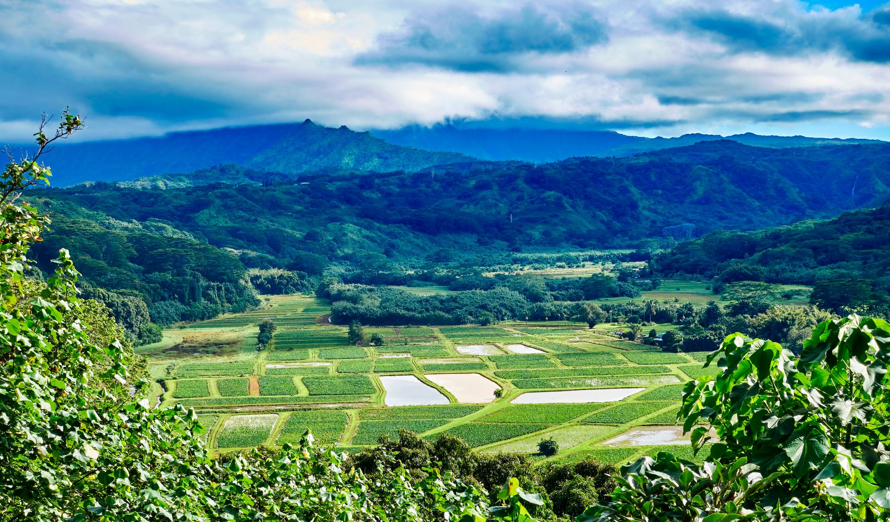 Hanalei and the North Shore in Kauai / Līhuʻe