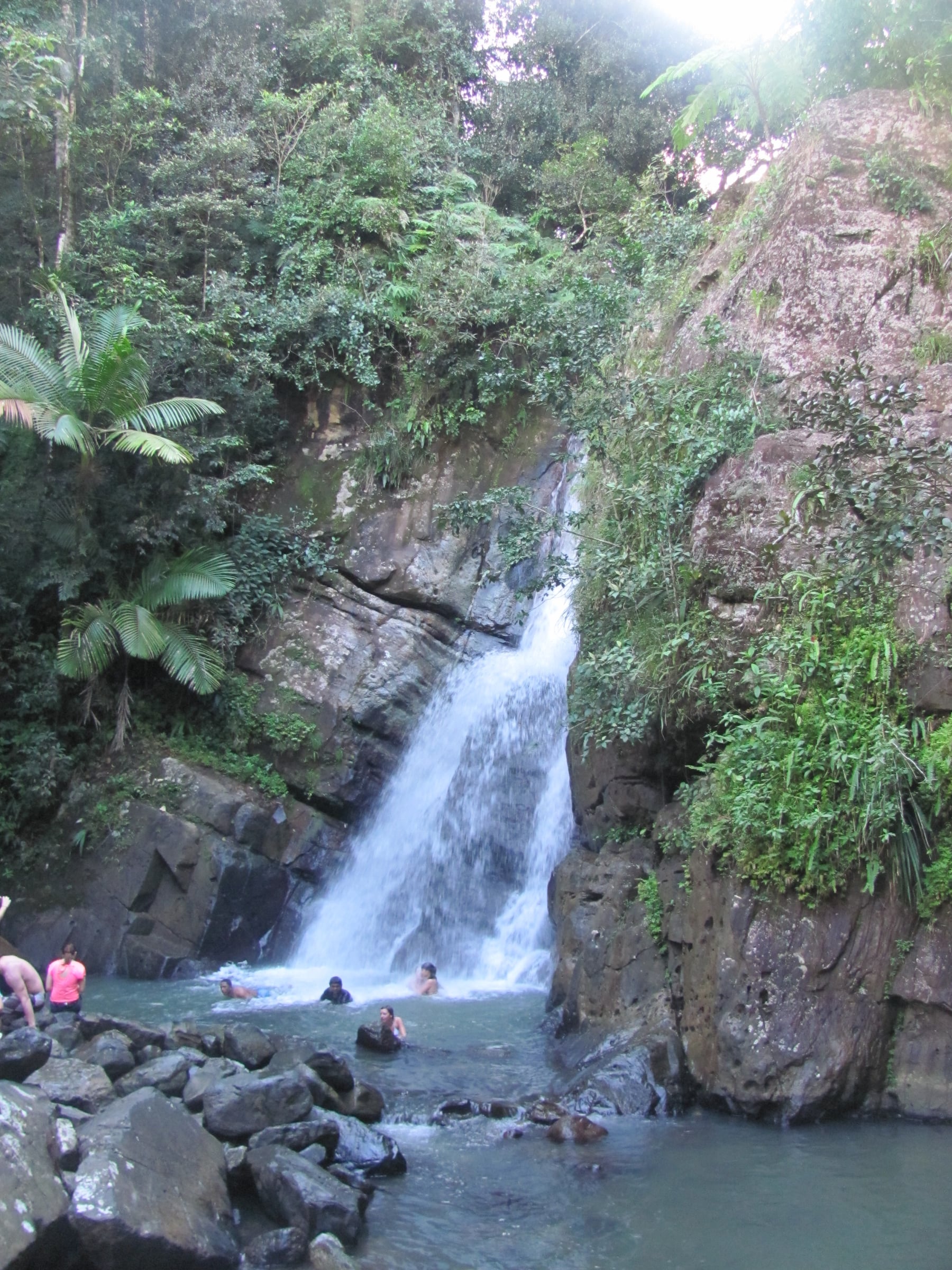 El Yunque day trip in San Juan, Puerto Rico