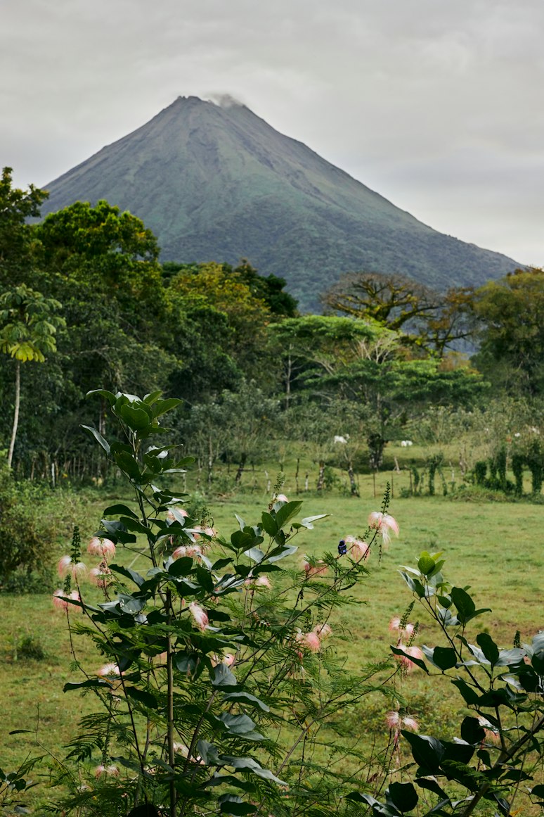 San José, Costa Rica travel scene